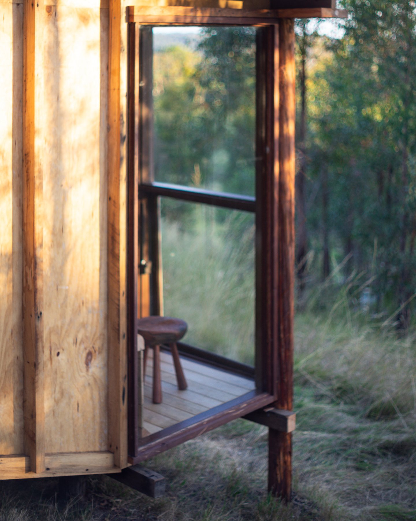 Metal-clad cabin exterior among regenerating trees