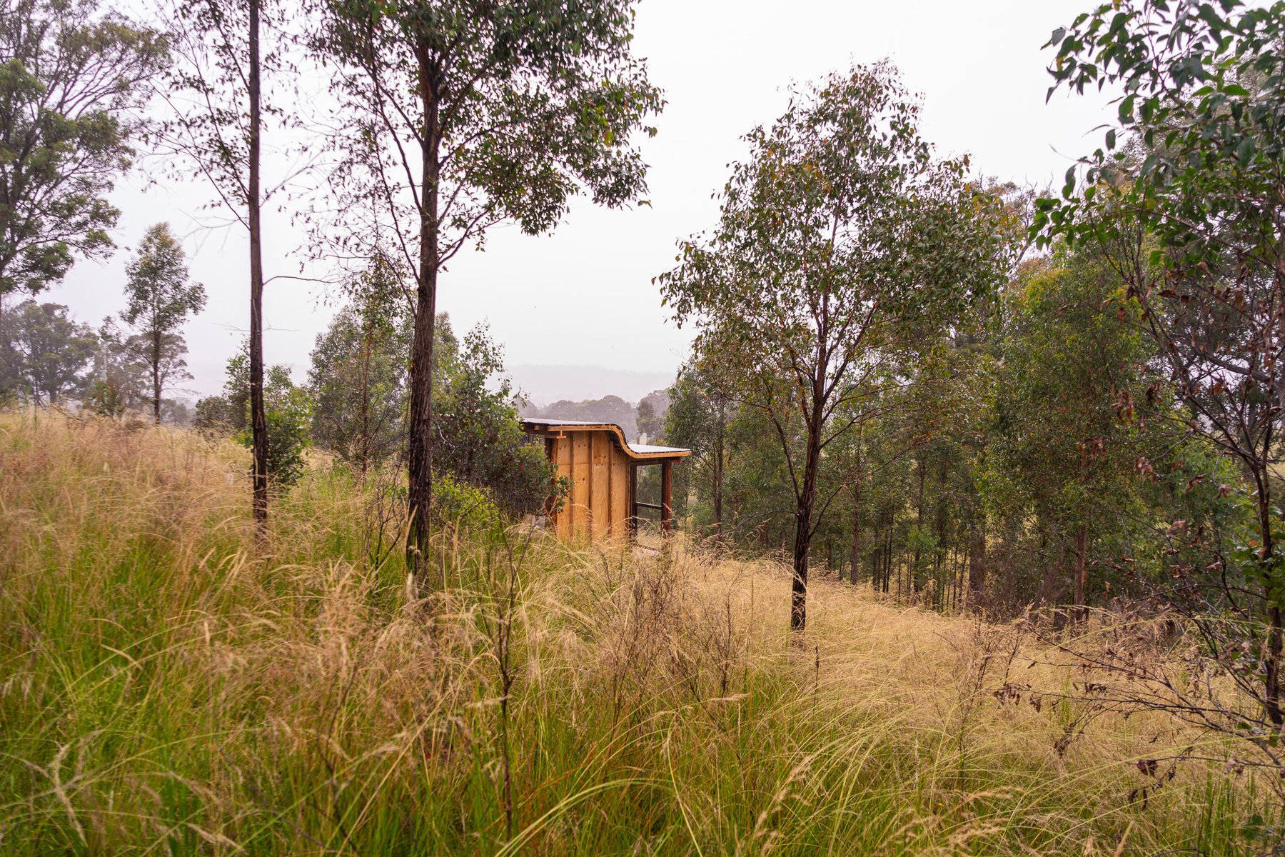 Cabin in landscape with young eucalypts